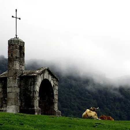 La Casona De Gospodarstwo wiejskie *