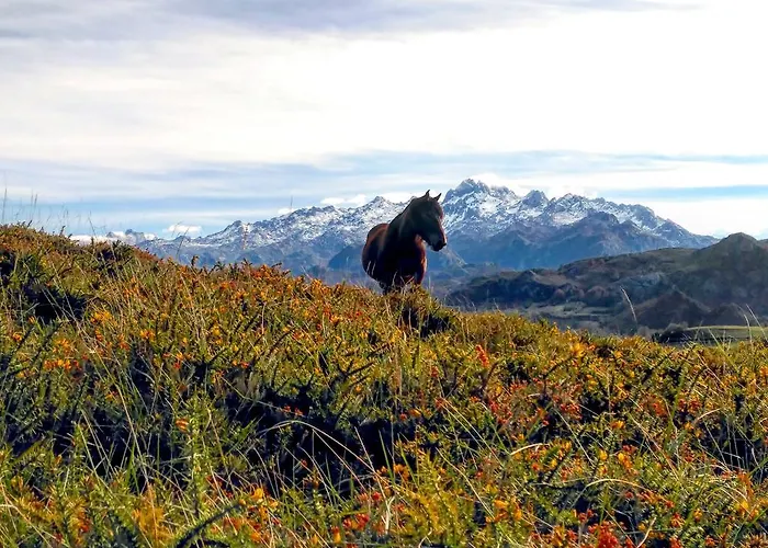 La Casona De Torió *