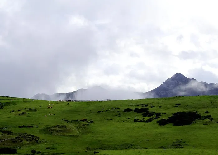 Casa rural La Casona De Torió *